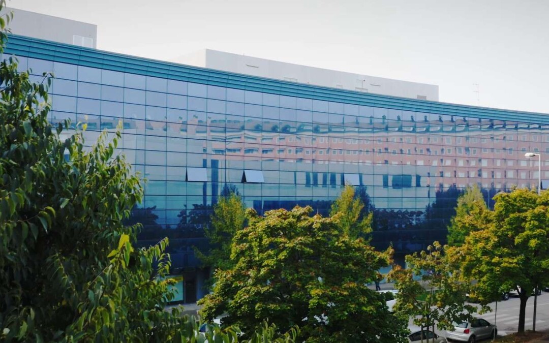 City Green Light: bilancio consolidato 2024. Ricavi netti in crescita e ampliamento dei mercati presidiati